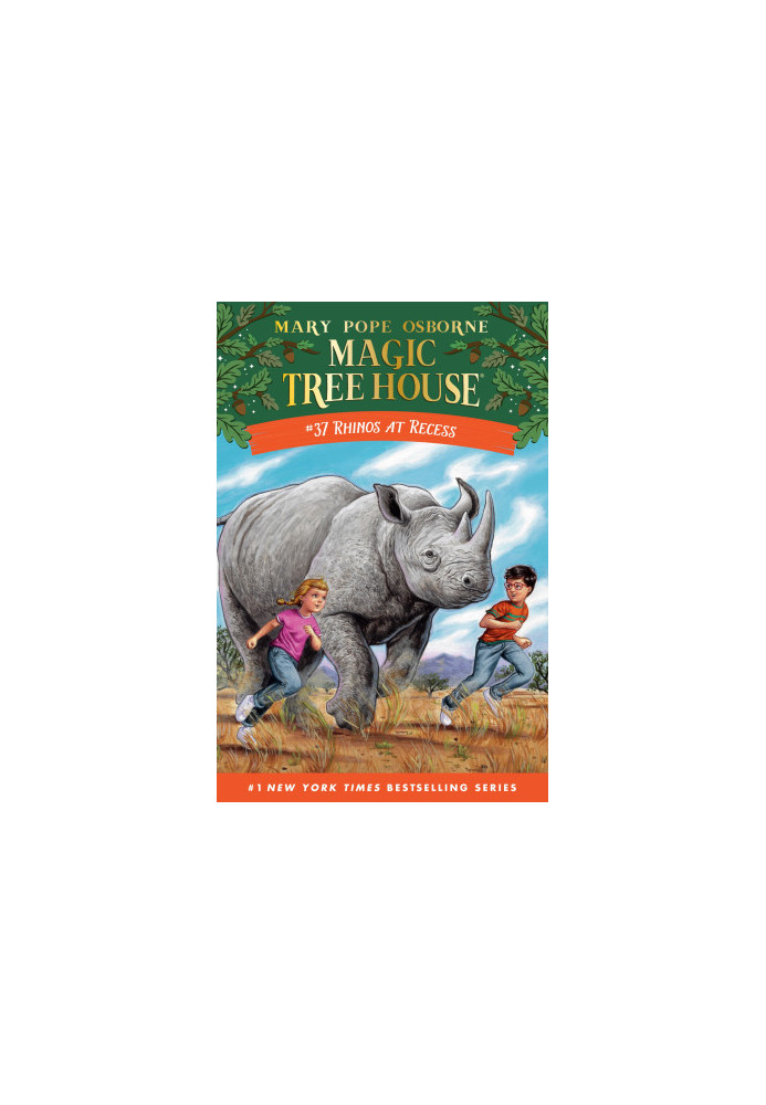 Rhinos at Recess