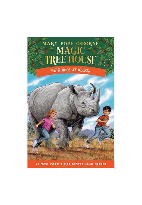Rhinos at Recess