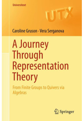 A Journey Through Representation Theory: From Finite Groups to Quivers via Algebras