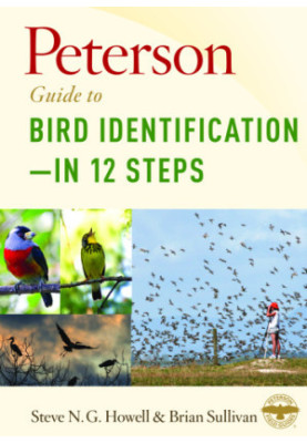 Peterson Guide To Bird Identification—in 12 Steps