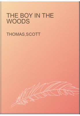 The Boy In The Woods