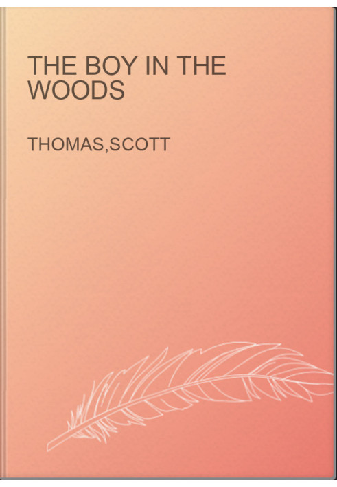 The Boy In The Woods