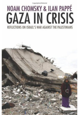 Gaza in Crisis: Reflections on Israel's War Against the Palestinians