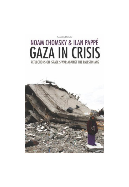 Gaza in Crisis: Reflections on Israel's War Against the Palestinians