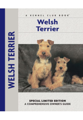 Welsh Terrier