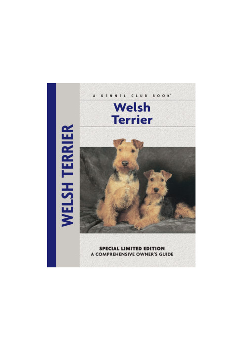 Welsh Terrier