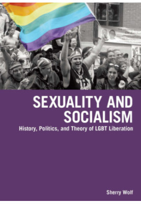 Sexuality and socialism: history, politics, and theory of LGBT liberation