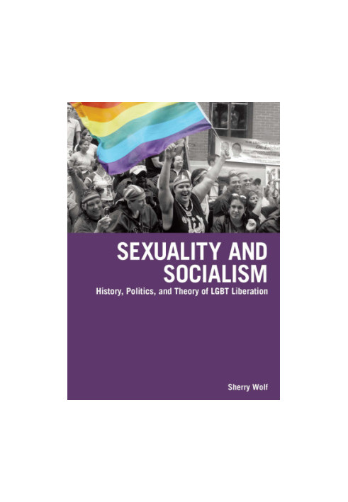Sexuality and socialism: history, politics, and theory of LGBT liberation