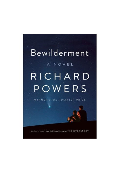 Bewilderment