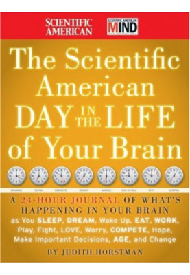 The Scientific American Day in the Life of Your Brain