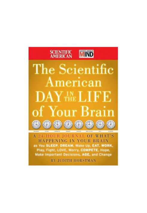 The Scientific American Day in the Life of Your Brain