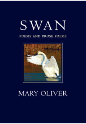 Swan