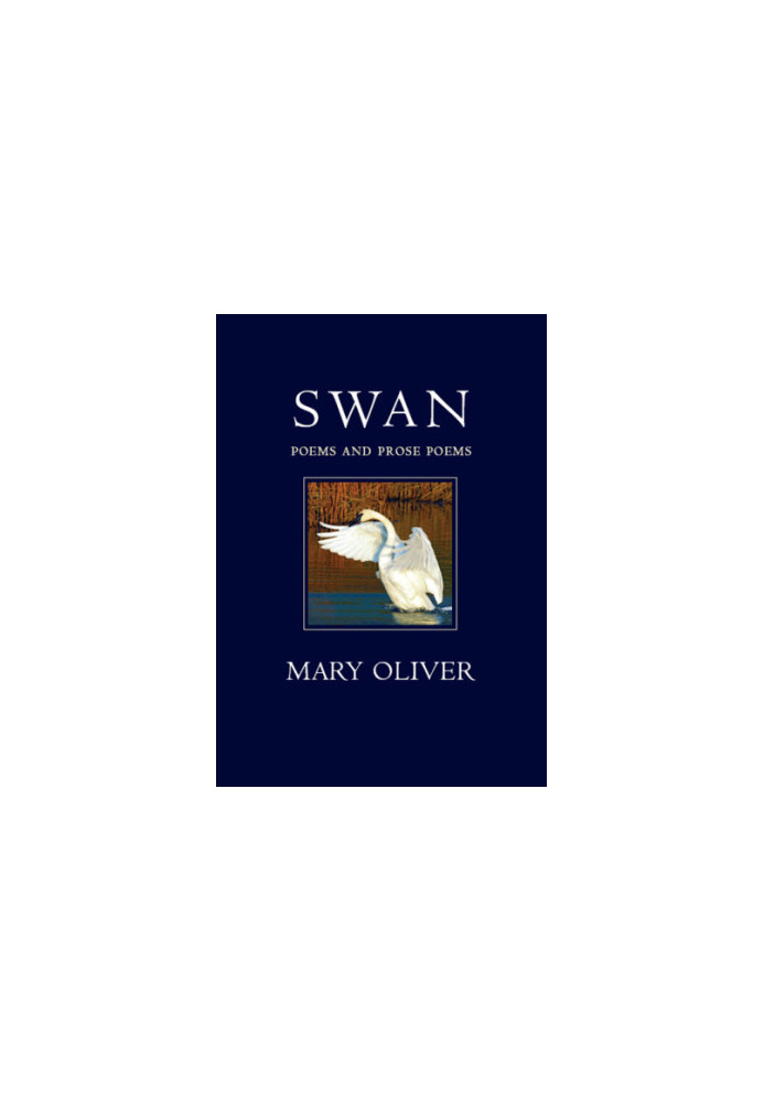 Swan