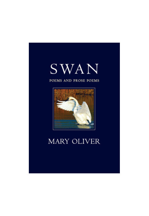 Swan