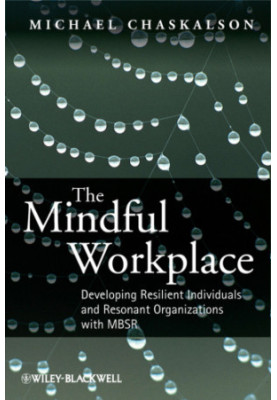 The mindful workplace: developing resilient individuals and resonant organizations with MBSR