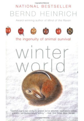 Winter World - The Ingenuity of Animal Survival
