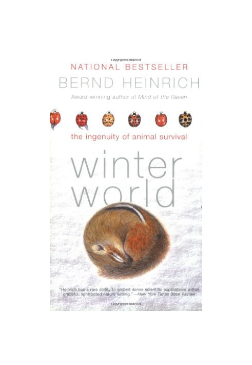 Winter World - The Ingenuity of Animal Survival