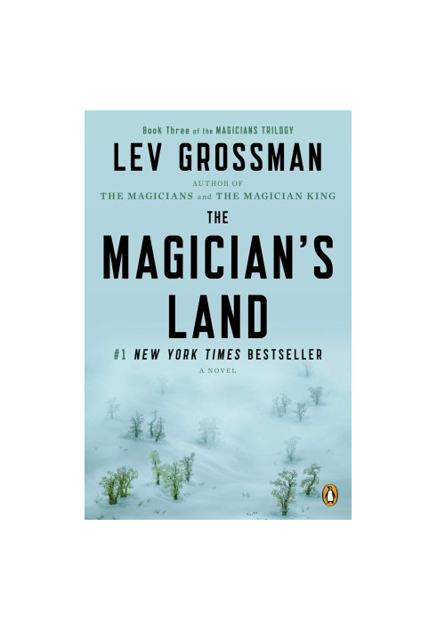 The Magician's Land: A Novel