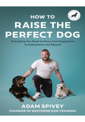 How to Raise the Perfect Dog: Everything you need to know from puppyhood to adolescence and beyond