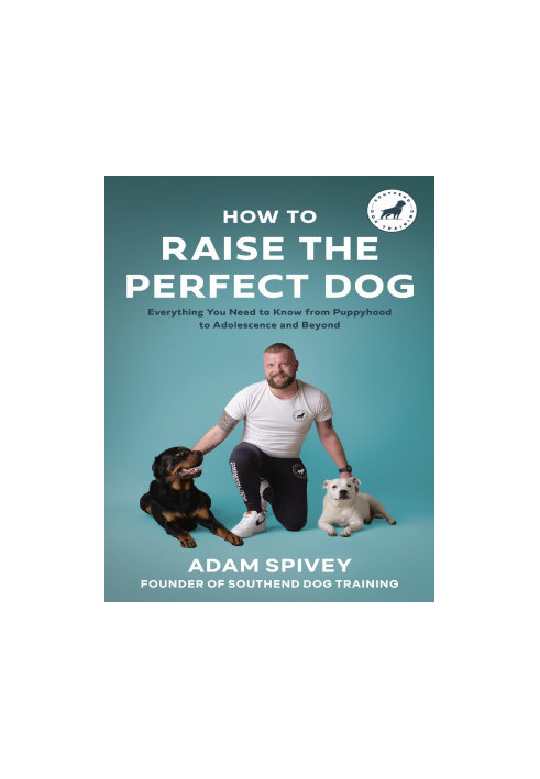 How to Raise the Perfect Dog: Everything you need to know from puppyhood to adolescence and beyond