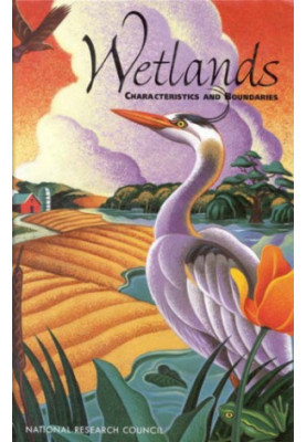 Wetlands: Characteristics and Boundaries