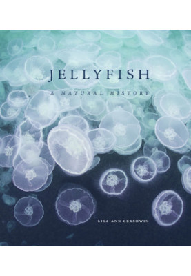 Jellyfish. A Natural History