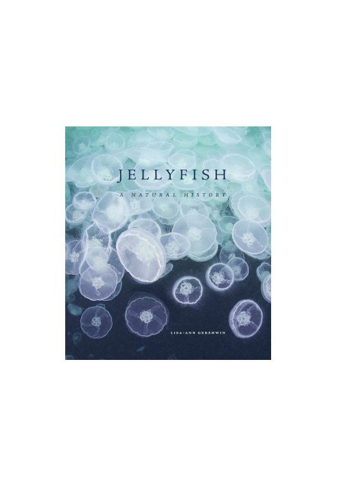 Jellyfish. A Natural History