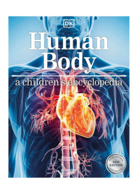 Human Body A Children's Encyclopedia