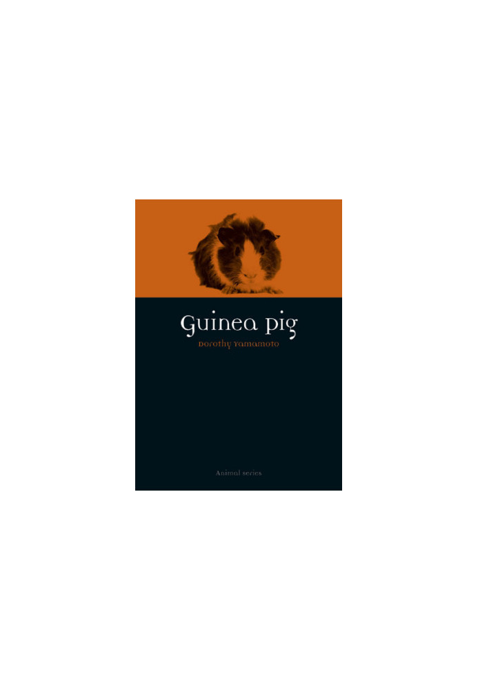 Guinea Pig