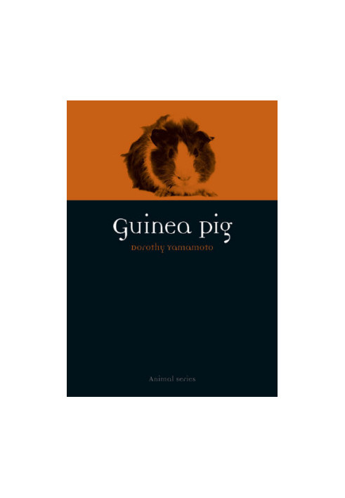 Guinea Pig
