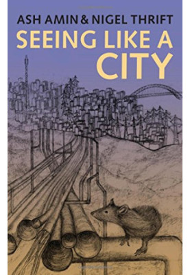 Seeing Like a City