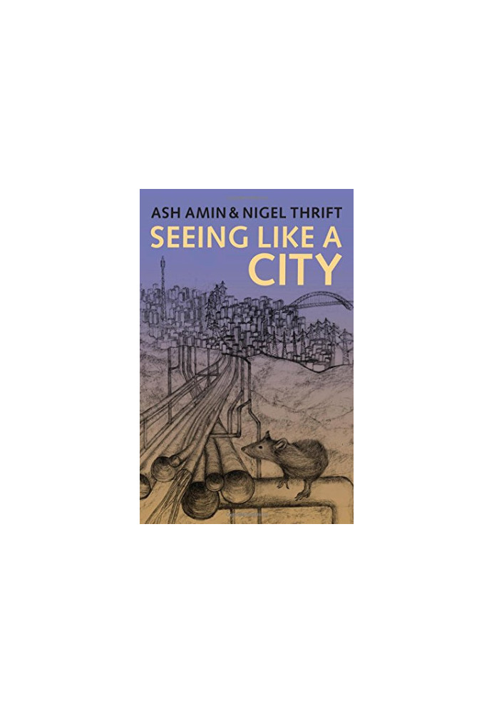 Seeing Like a City