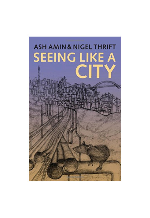 Seeing Like a City