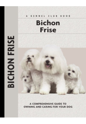 Bichon Frise