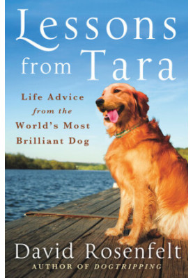 Lessons from Tara: Life Advice from the World's Most Brilliant Dog