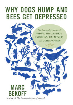 Why dogs hump and bees get depressed: the fascinating science of animal intelligence, emotions, friendship, and conservation