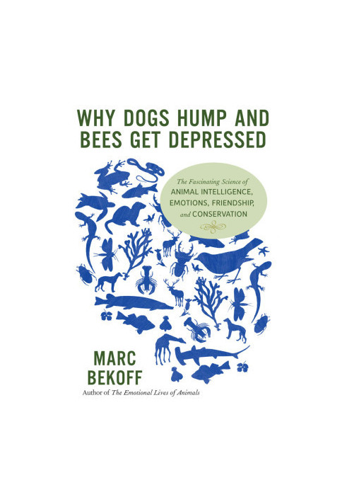 Why dogs hump and bees get depressed: the fascinating science of animal intelligence, emotions, friendship, and conservation
