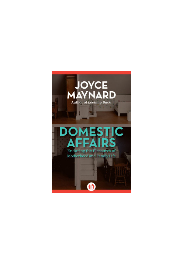 Domestic affairs : enduring the pleasures of motherhood and family life
