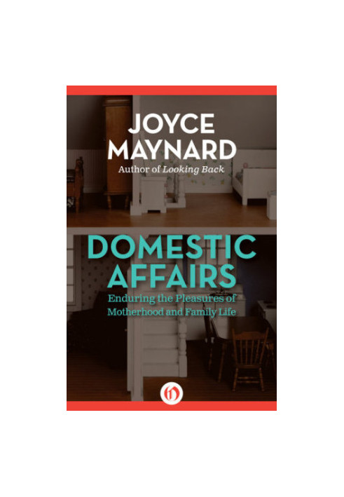 Domestic affairs : enduring the pleasures of motherhood and family life