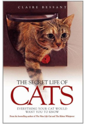 The Secret Life of Cats: Everything Your Cat Would Want You to Know