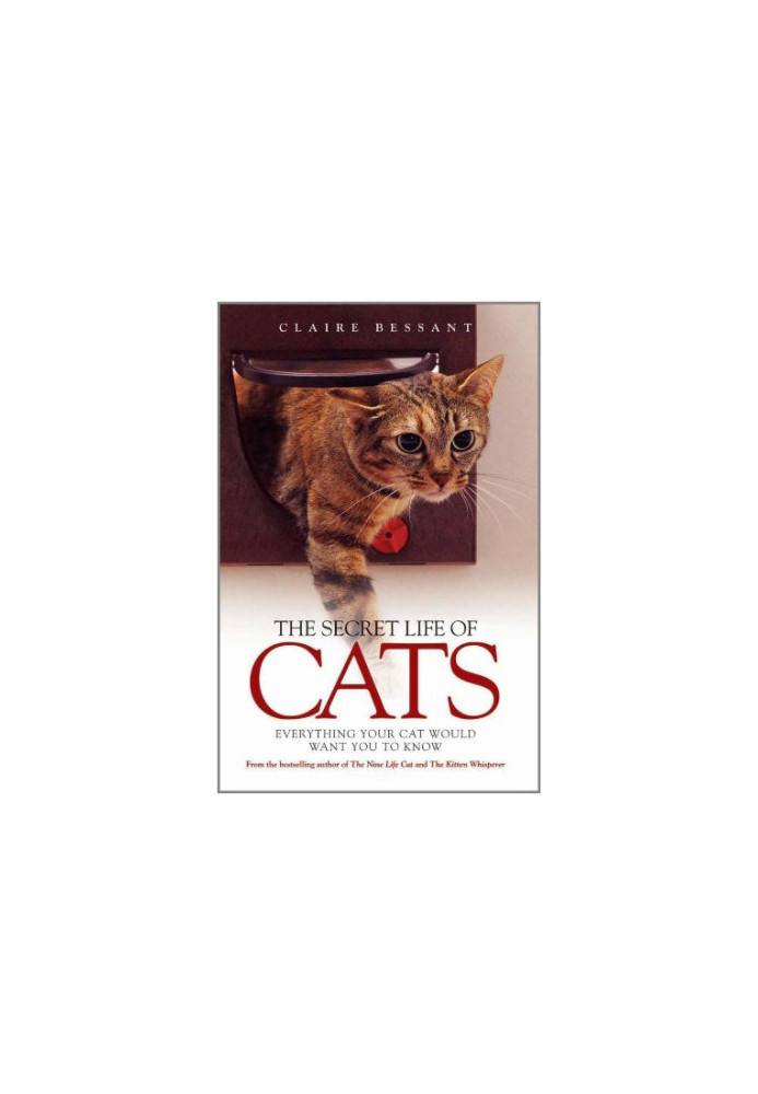 The Secret Life of Cats: Everything Your Cat Would Want You to Know