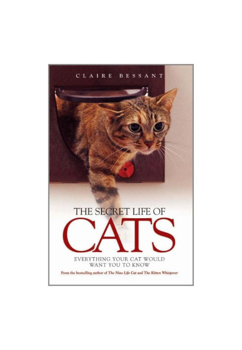 The Secret Life of Cats: Everything Your Cat Would Want You to Know