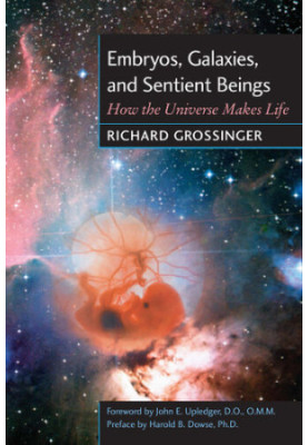 Embryos, Galaxies, and Sentient Beings: How the Universe Makes Life