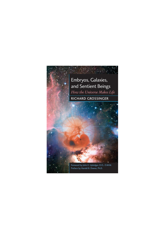 Embryos, Galaxies, and Sentient Beings: How the Universe Makes Life