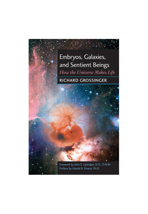 Embryos, Galaxies, and Sentient Beings: How the Universe Makes Life