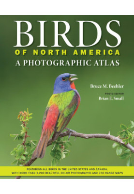 Birds of North America