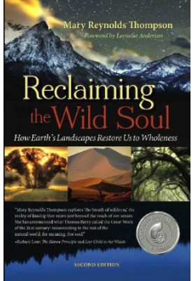 Reclaiming the Wild Soul: How Earth’s Landscapes Restore Us to Wholeness