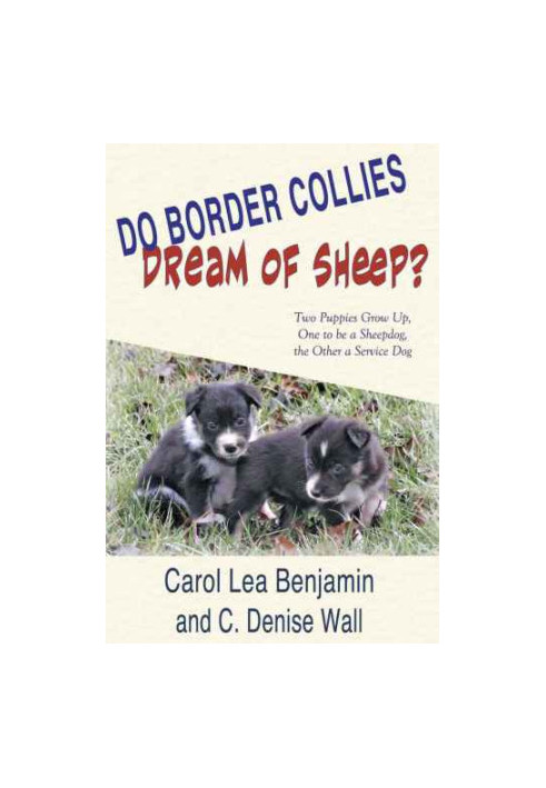 Do Border Collies Dream of Sheep?