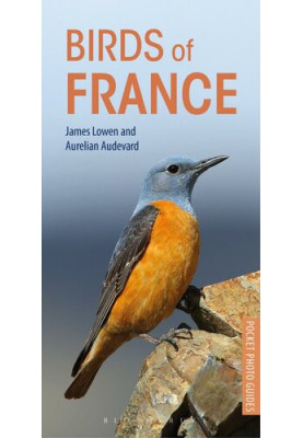 Birds of France