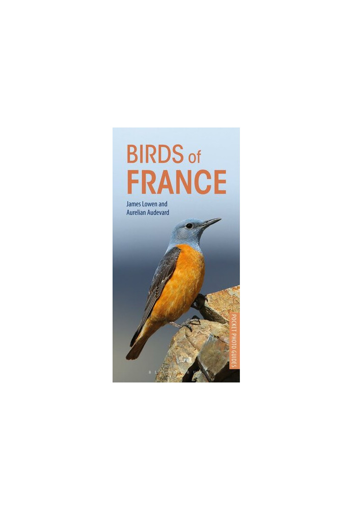 Birds of France